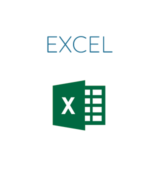 Logo Excel